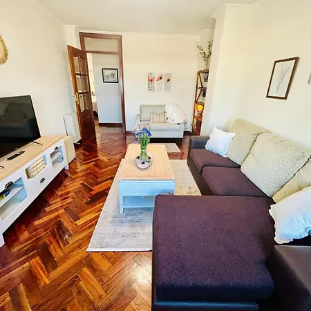 Holibai, Exeira, Practico Y Funcional, * Baiona